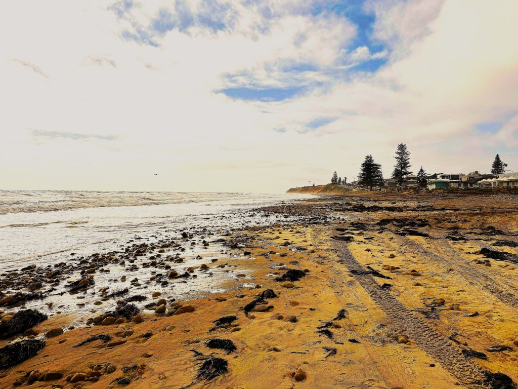 A beach with tyre tracks leading towards buildings.