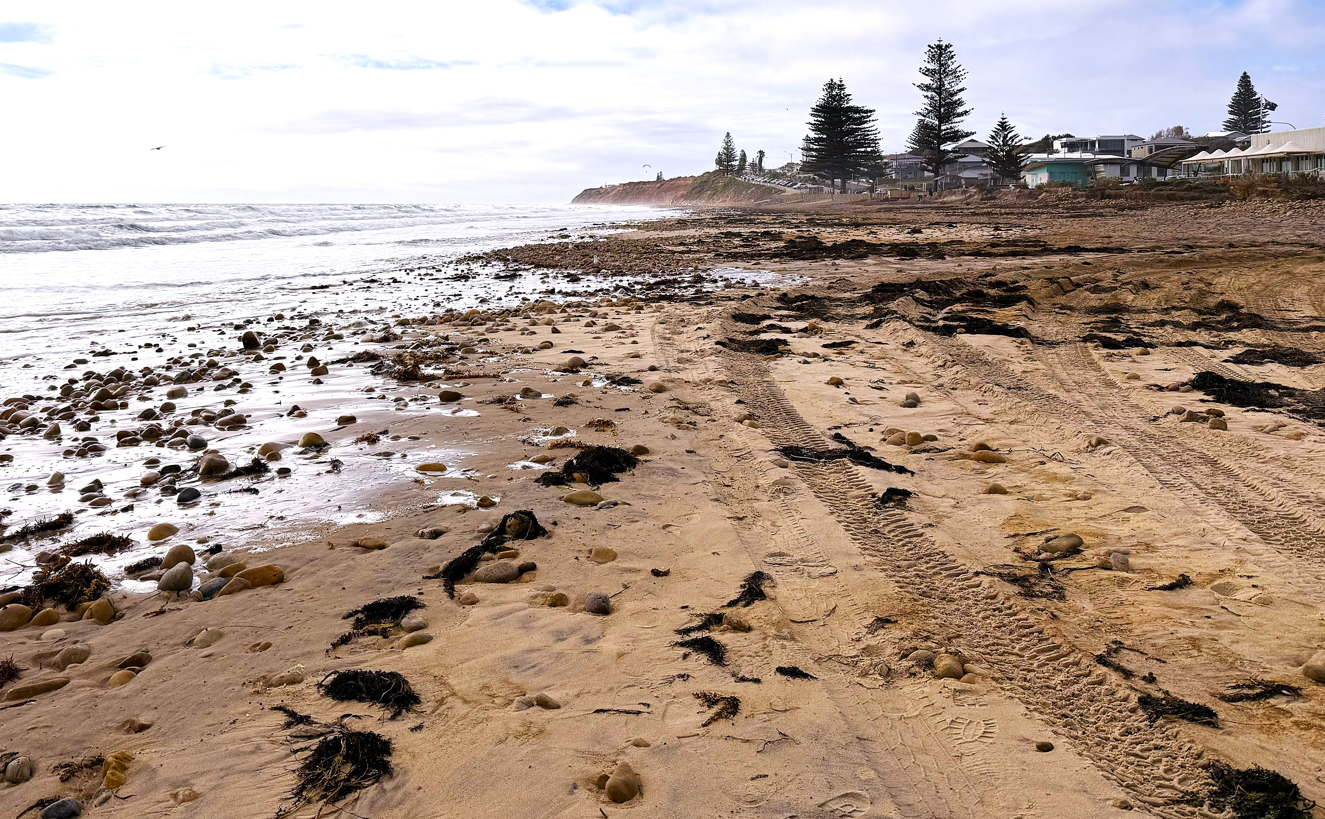 A beach with tyre marks and footprints, leading to far way trees and buildings.
