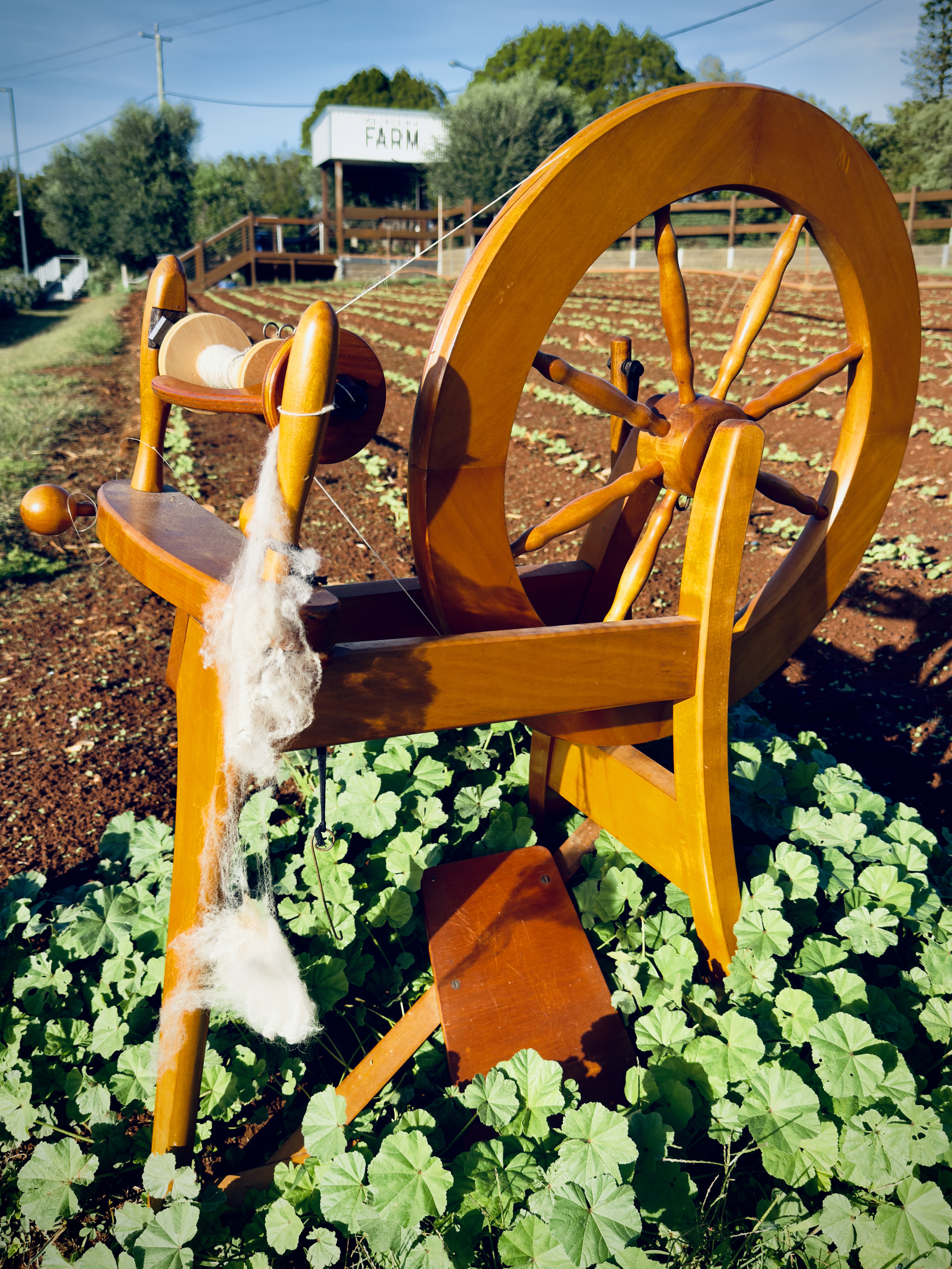 A spinning wheel in the field of Wellington Point Farm.