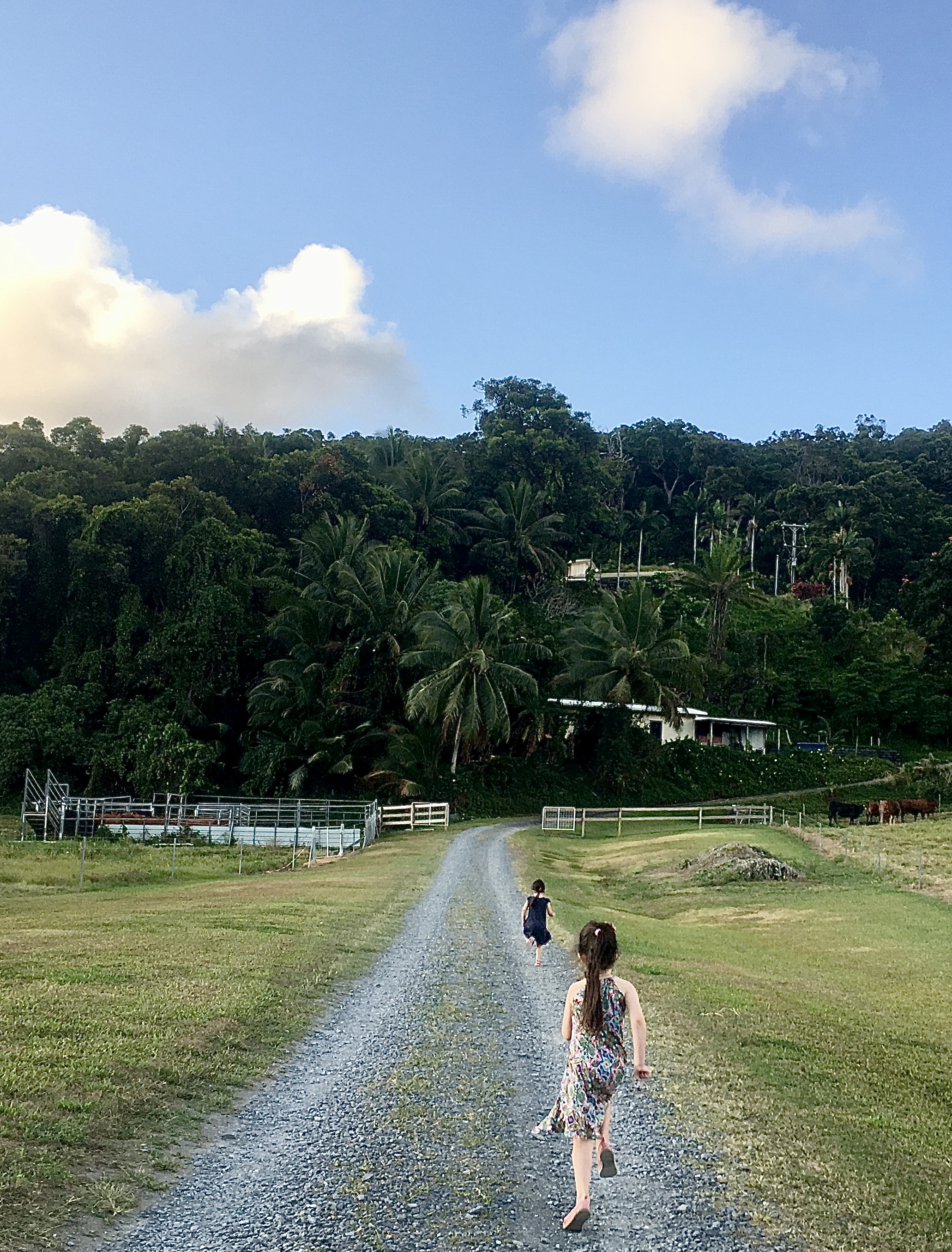 Two girls running down a road with a lush green mountain in the background, and fields of cows.