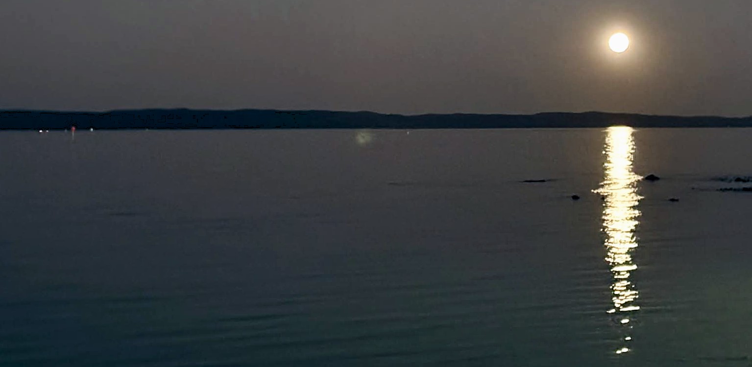 Moonlight reflects on the sea.
