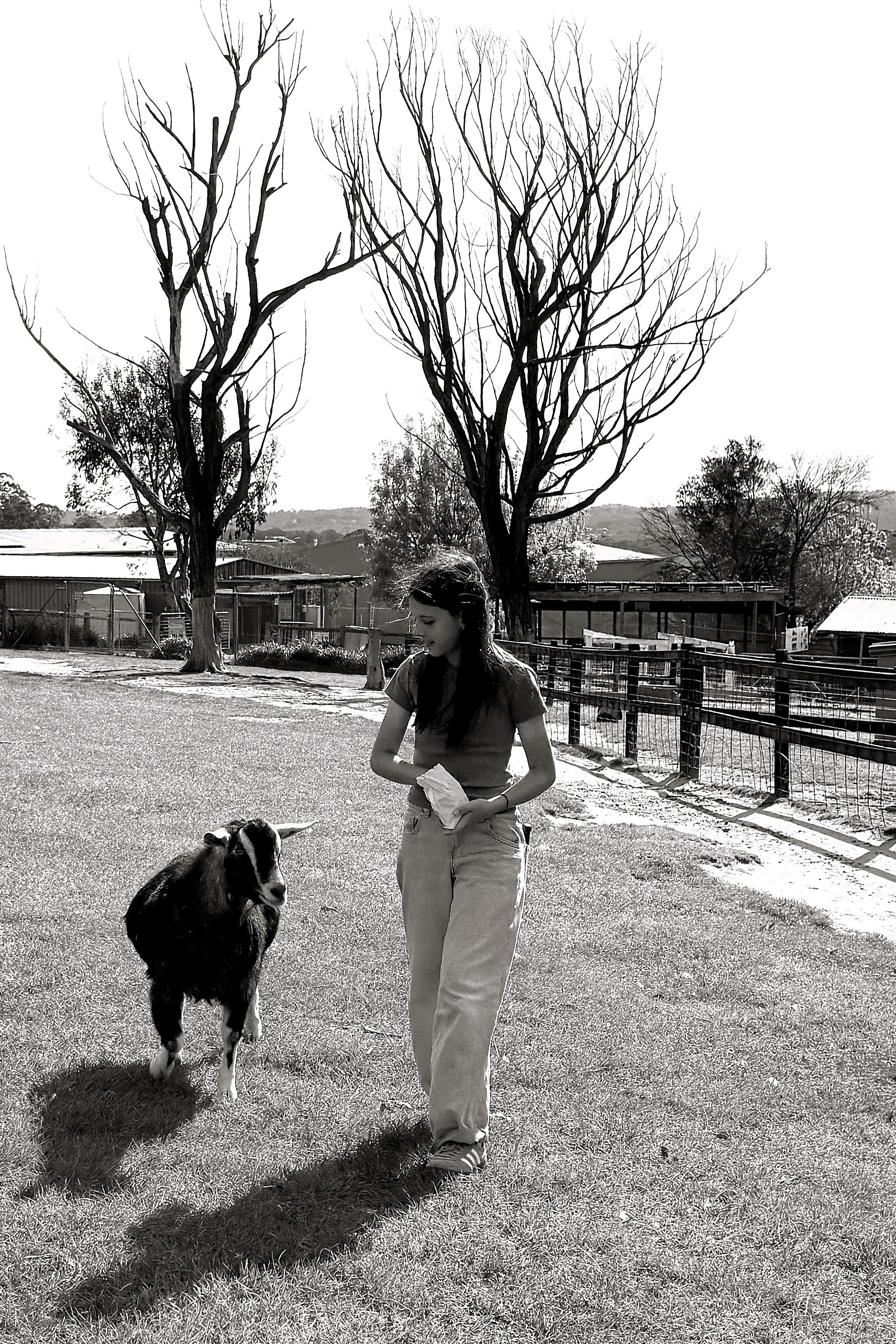 A girl is walking with a goat on a farm.