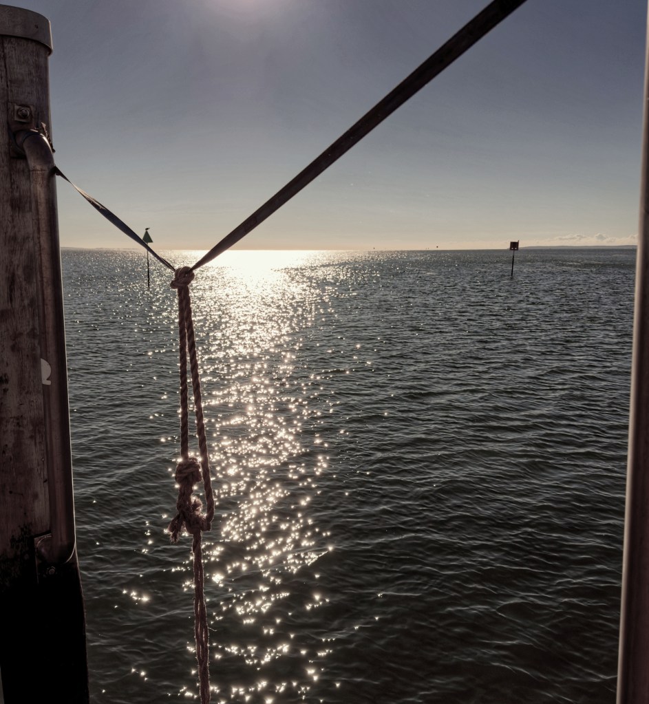 The sun shining on the sea, with a rope in the foreground.