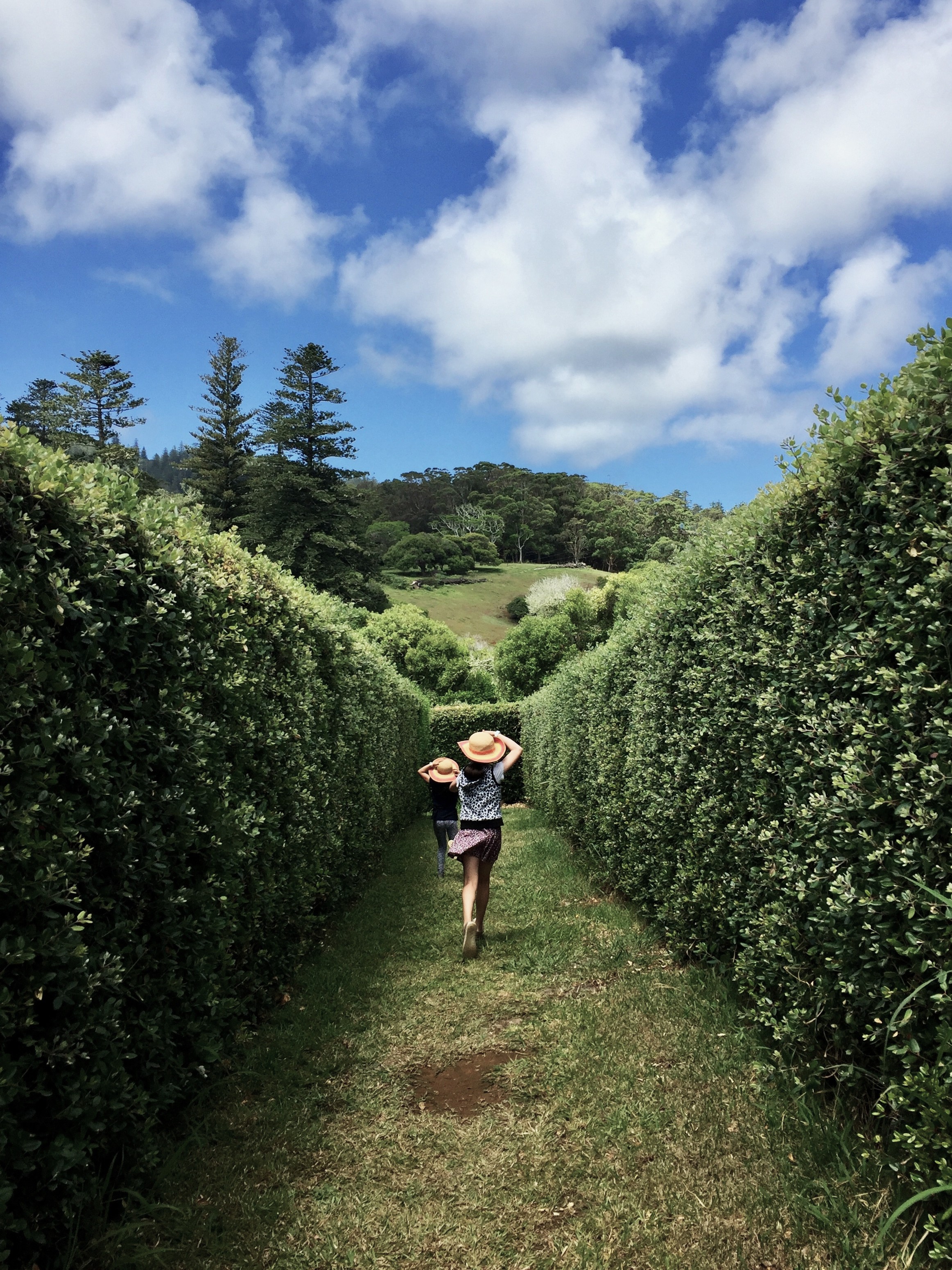 Two girls run down the centre of a hedge maze, with blue sky and clouds above them. One girl is holding onto her hat.