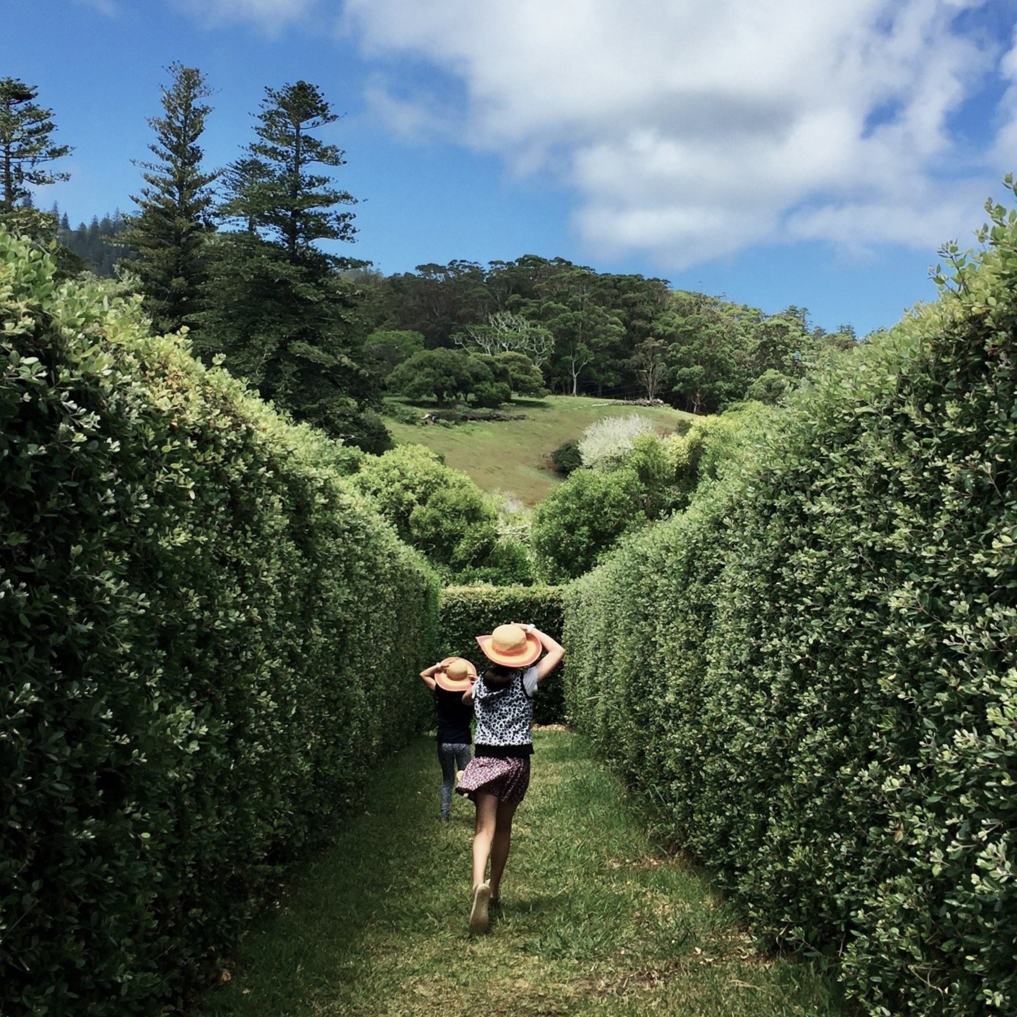 Two girls running in a hedge maze.