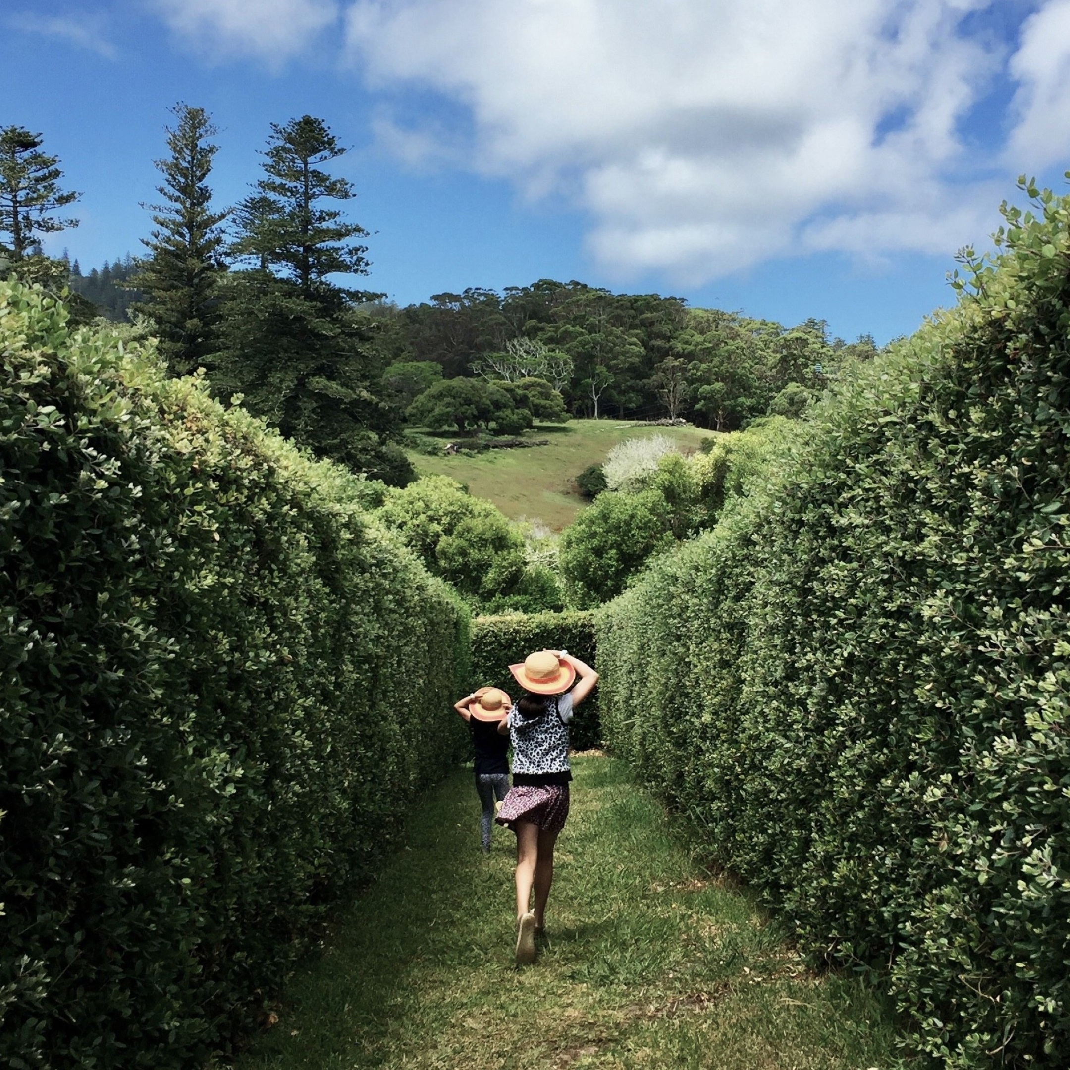 Two young girls running inside a hedge maze.