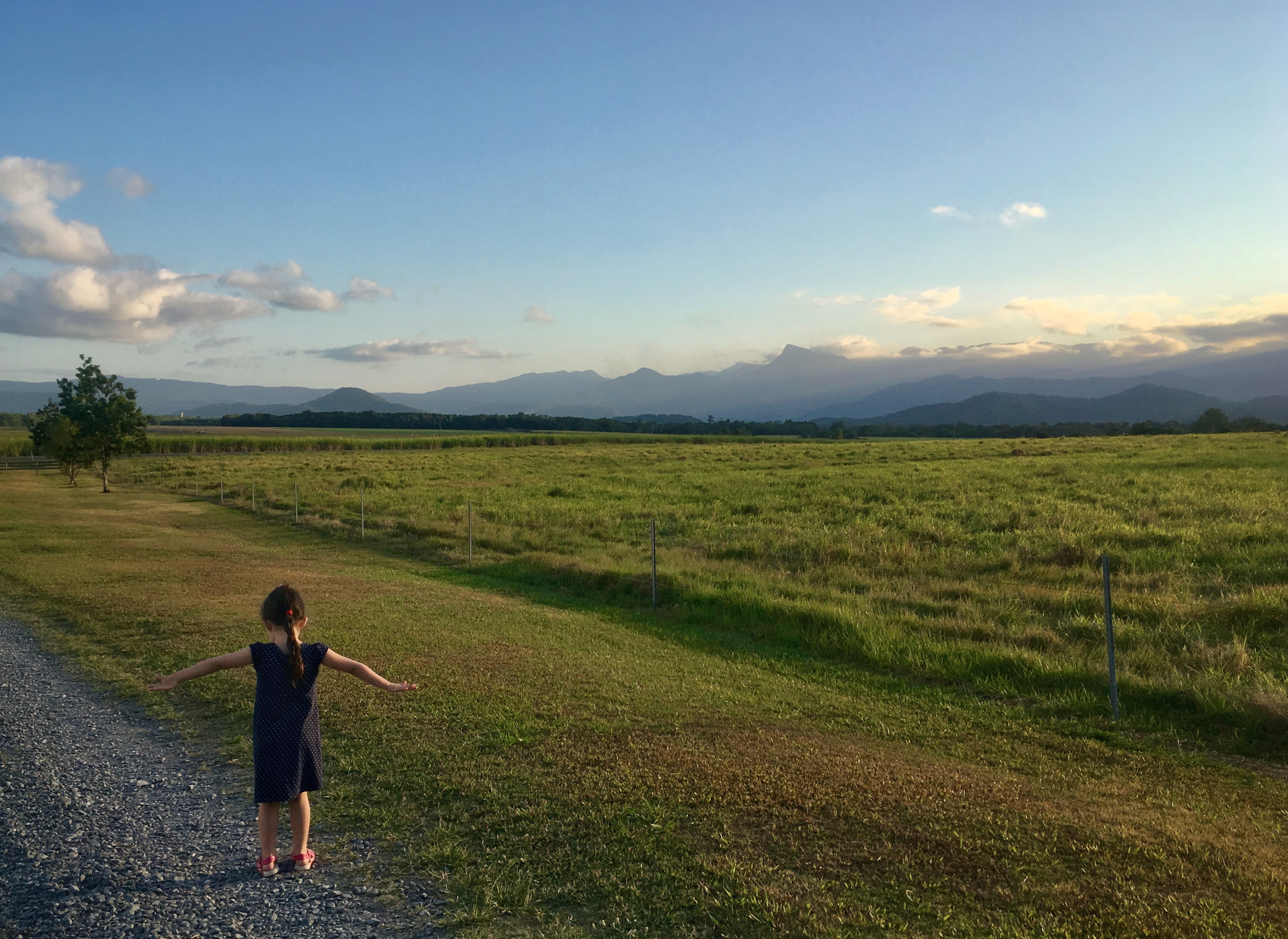 A girl with arms outstretched in a cane field.